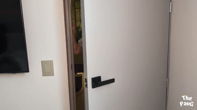 La stupenda Sofia Gucci in scena di sesso lesbo con troia bionda e mega squirting