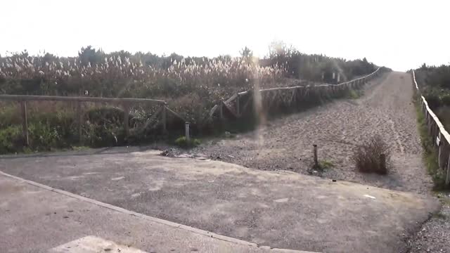 biancaneve quella gran troia